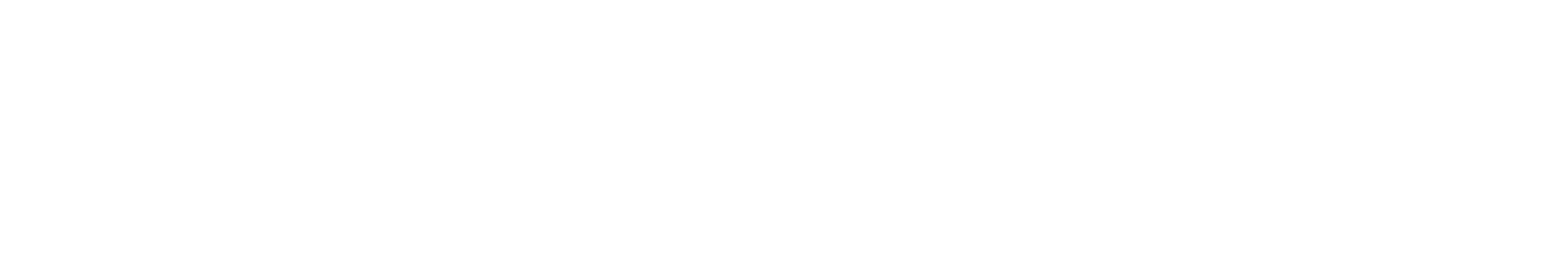 Naples Premier Sound